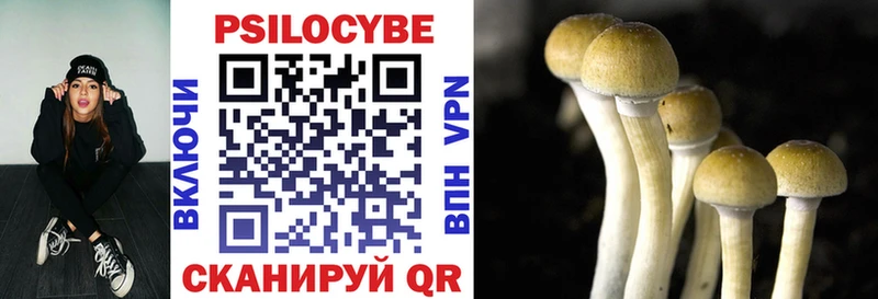 Галлюциногенные грибы Magic Shrooms Шатура