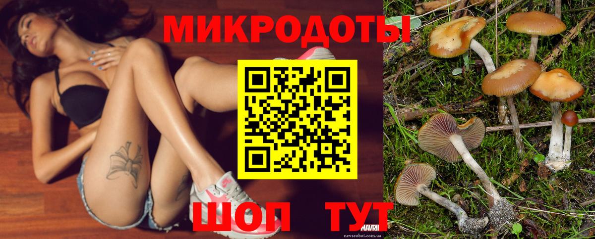 Галлюциногенные грибы мицелий Шатура